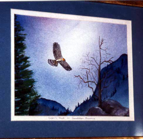eagle.jpg