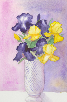 purple and yellow irises